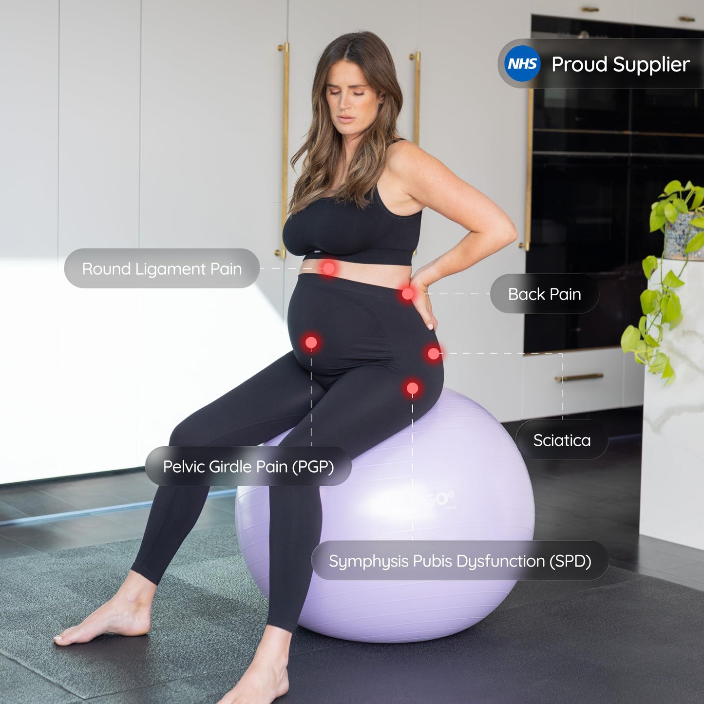 BABYGO® Birthing Ball for Pregnancy Maternity Labour & Yoga + Our 100 Page Pregnancy Book, Exercise, Birth & Recovery Plan, Anti-Burst Eco Friendly Material (Lavender, 55cm)