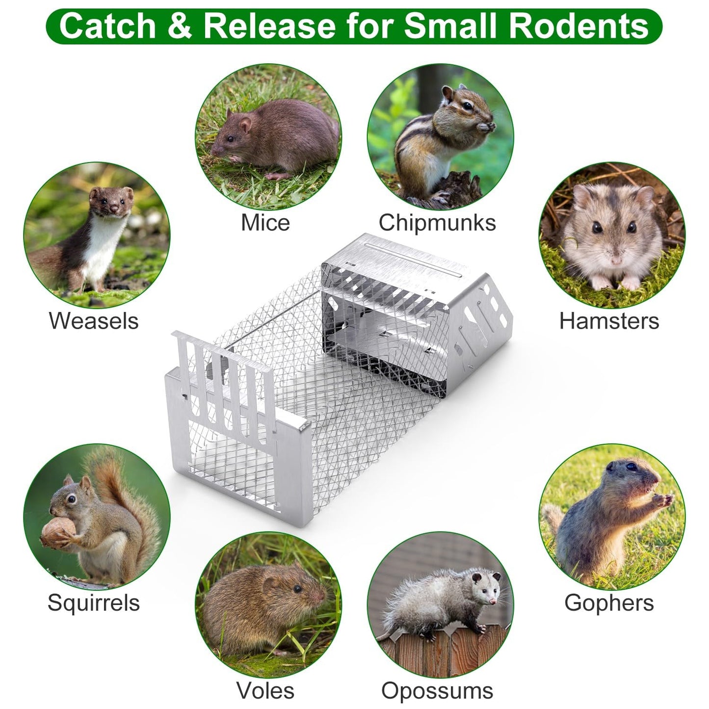 Humane Rat Trap, Automatic Continuous Mouse Cage Single Door Live Animal Trap Cage Indoor Outdoor for Small Rodents Chipmunk Mice Voles, Catch and Release