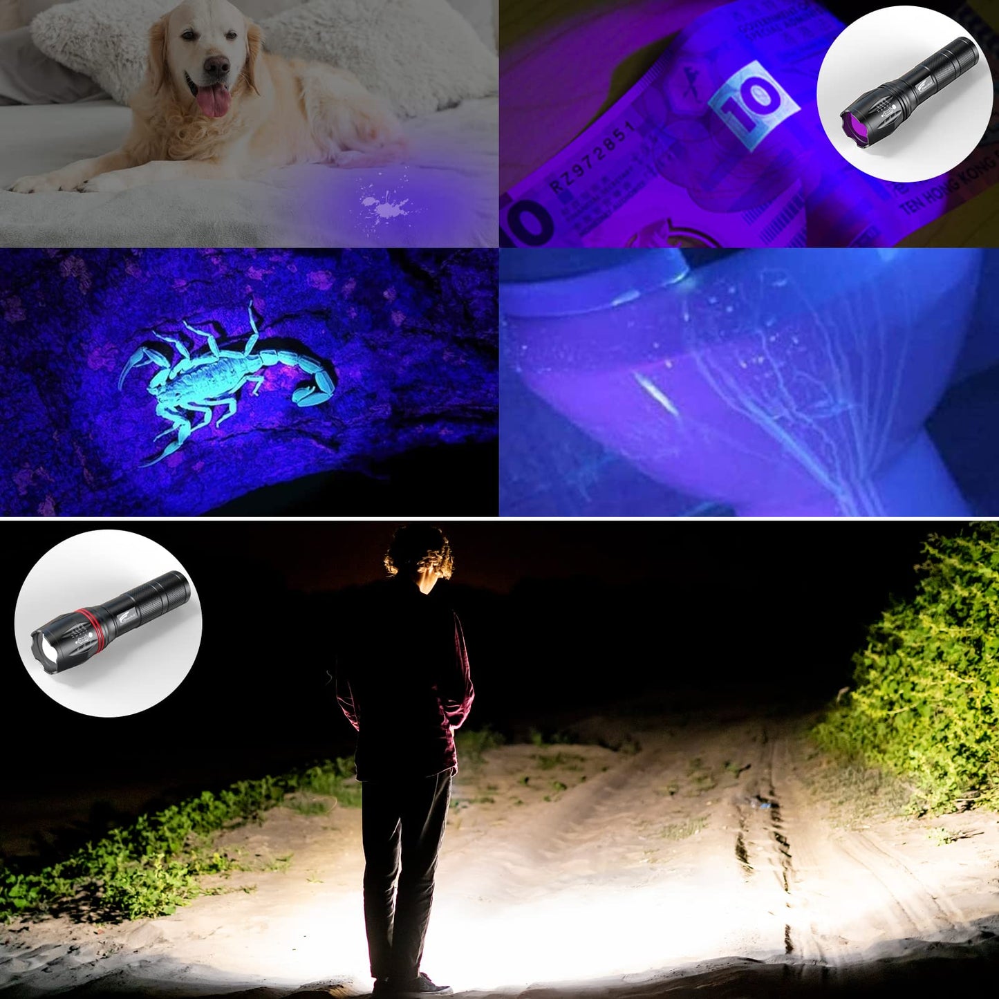 HAUSBELL 365nm UV Flashlight Black Light Flash Light, Zoomable Blacklight Flashlights with 5 Modes for Dog Cat Urine Detection and Emergencies(UV 2PACK)