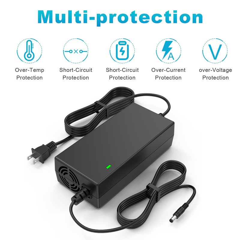 Fancy Buying 7-in-1 Universal 54.6V 2A ebike Charger for 48v Fast and Safe Charging of 13S Li-ion Battery
