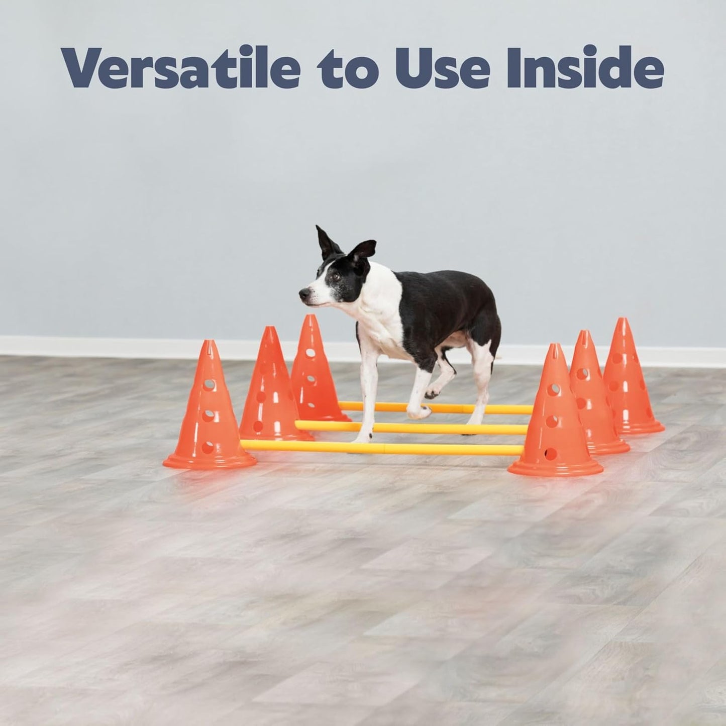 Dog Agility Hurdle Cone Set - Height Adjustable Jump Training Equipment for All Skill Levels | 6 Cones, 3 Rods