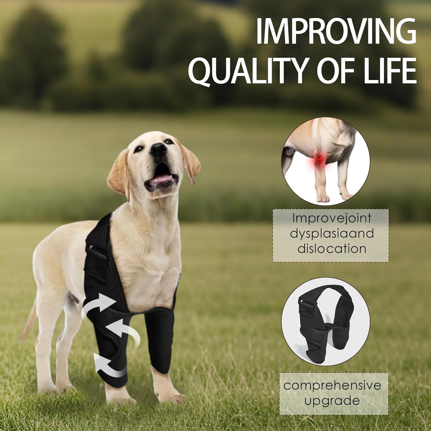 Adjustable Dog Elbow Brace - Front Leg Support for Torn Ligaments & Arthritis | XL Size