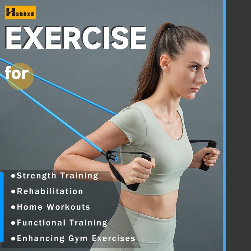 Single Resistance Bands with Handles for Working Out Women and Men, Exercise Bands with Door Anchor, Stretch Bands for Home Workouts, Simple Guide Included (Light-red-20 lbs)