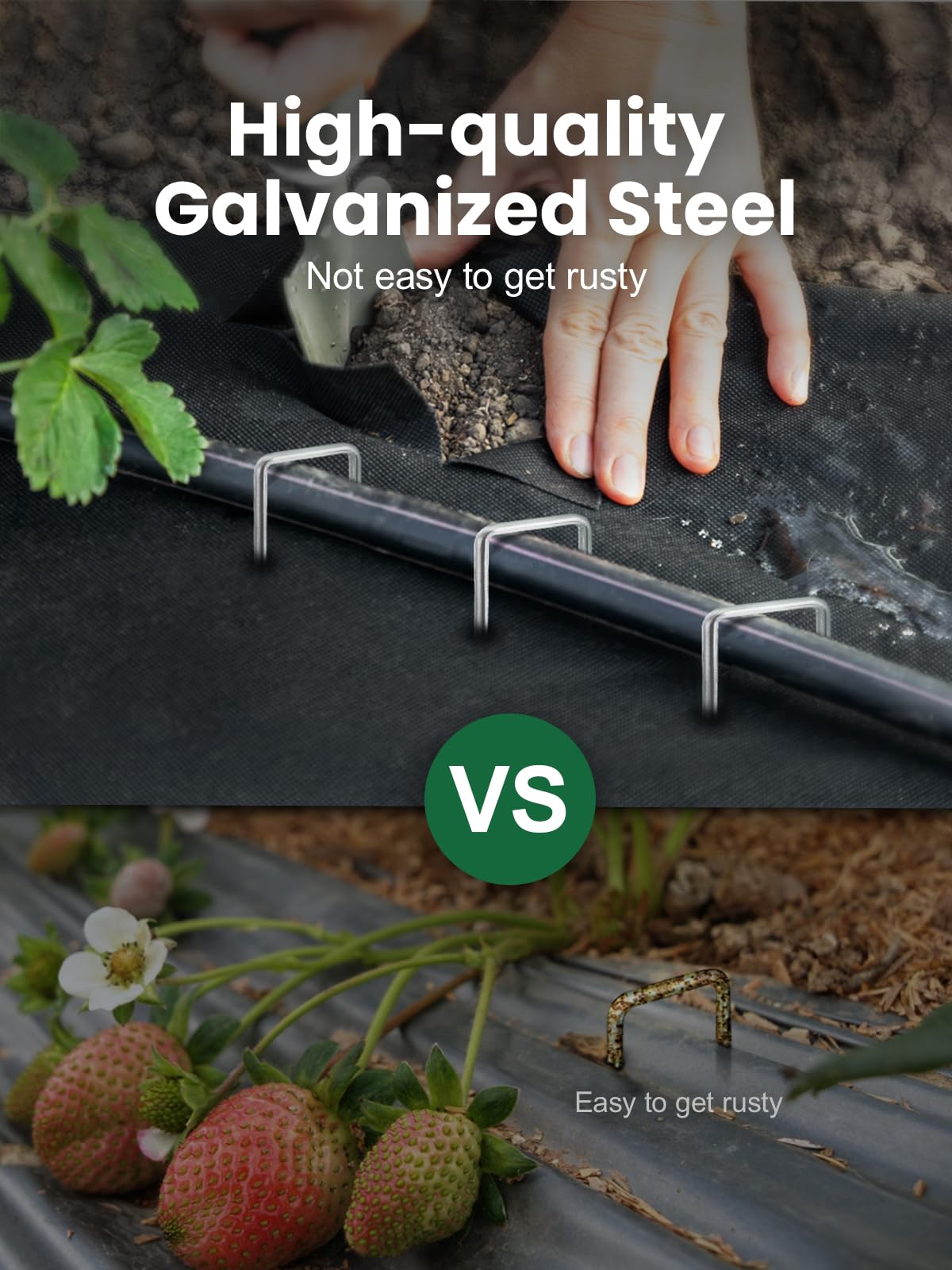 GROWNEER Landscape Staples 6 Inch, 100 Pack 11 Gauge Yard Stakes for Weed Barrier Fabric, Holds Lawn Edging, Secures Irrigation Tubing, Galvanized Steel Garden Spikes