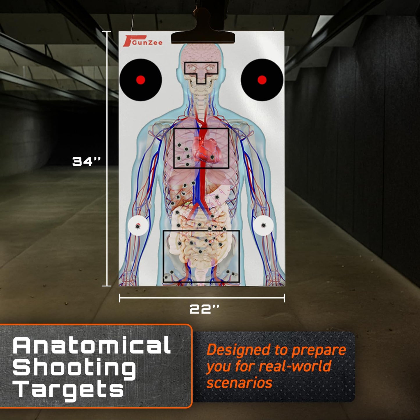 GunZee Anatomical Shooting Targets, 22" x 34" Paper Anatomy Targets for Shooting Range, Ideal for Handgun, Airsoft Pistol, Rifle, BB Gun, Pellet Gun Practice, Tactical & Self-Defense Training, 25-Pack