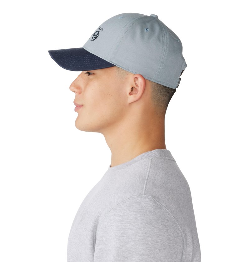 Mountain Hardwear Unisex MHW Logo Cap, Light Zinc, One Size