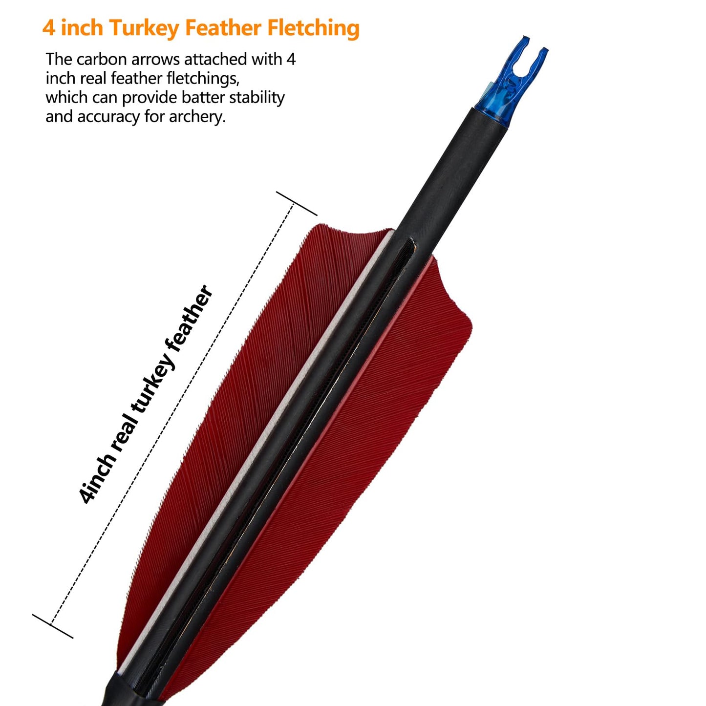 TOPARCHERY Premium 30" Carbon Hunting Arrows with Selected 4" Real Turkey Feathers Fletching and Removable Tips - 500 Spine Practice Target Arrows for Recurve Bow Long Bow - 12Pcs