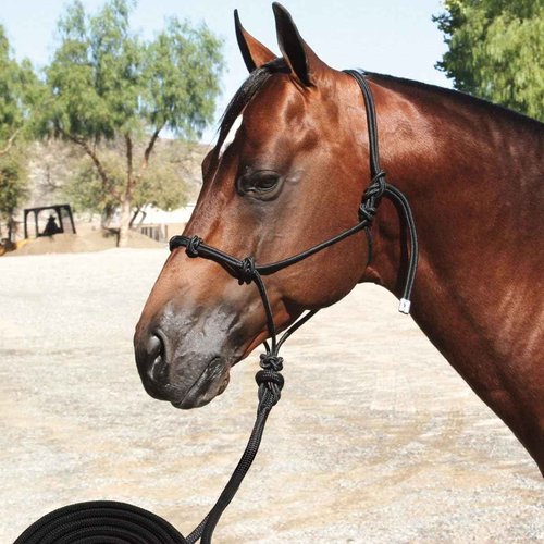 Professional's Choice Clinician Halter 15' Nylon Lea, Color: Black, Size: 15' (HRC-BLA)