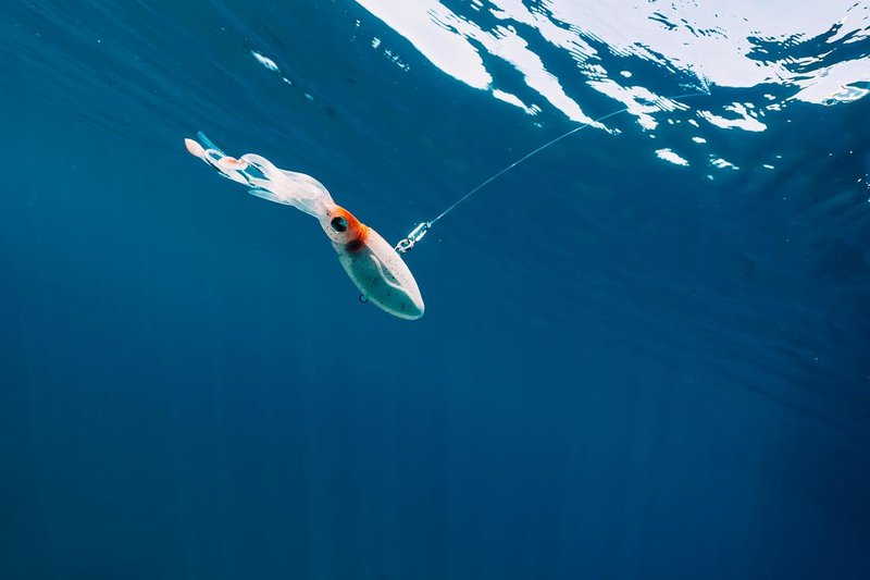 Nomad Design Squidtrex Vibrating Fishing Lure - TPE Soft Plastic Bait with Strong BKK Assist Hooks | Saltwater Fishing