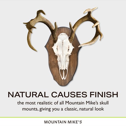 Mountain Mike’s Black Forest Universal Antler Mounting Kit - Plaque and 3D Skull Mount Kit - Compatible with Harvested and Shed Antlers - Rustic Home Decor - Great Outdoor Inspired (Natural Causes)