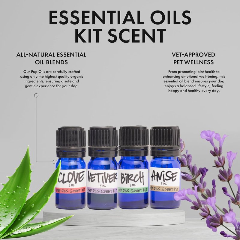 Pup Scent Work Starter Kit | Dog Scent Training with Essential Oils - Anise, Birch, Clove & Vetiver Flavors | Portable Aid Kit