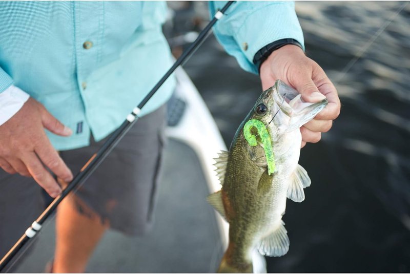 Berkley Gulp! Grub Saltwater Fishing Soft Bait - Durable, Realistic Lures for Catching Fish