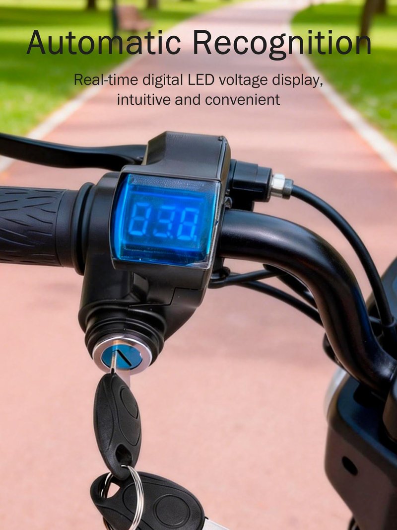 Haosie E-Bike Throttle Control Switch, Speed Switch Lock with LCD Display, Accelerator Voltage Display with Key Lock for E-Scooter Electric