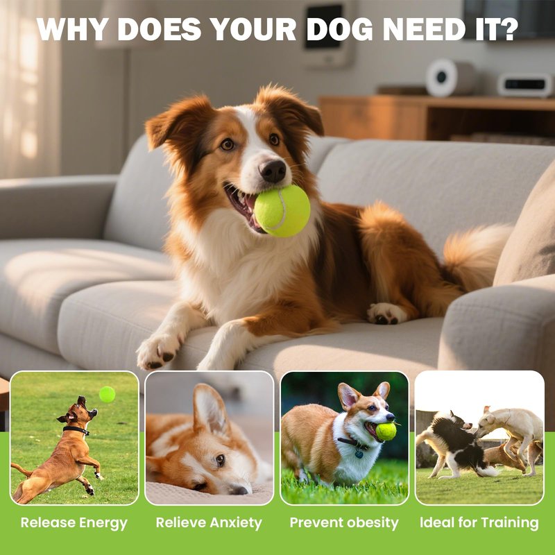 FURWEY 24 Pack Tennis Balls,Thickened Tennis with Mesh Bag for Transport,High Elasticity Training Balls for Beginner, Playing Balls for Dogs