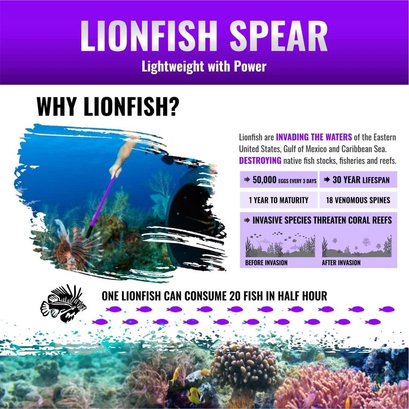 5 Point Non-Barbed 8mm Thread Spear Tip for Lionfish | 36” Pole Spear Accessory