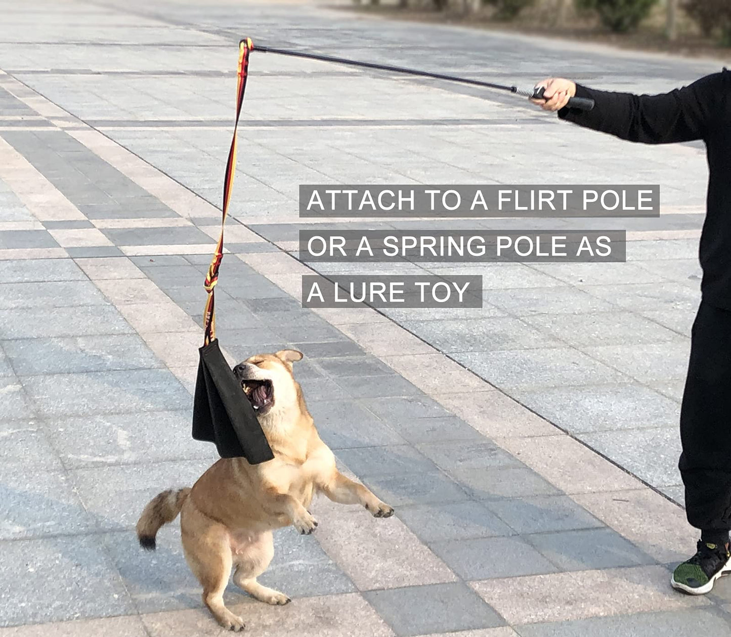 Dewonch Leather Bite Rag for Dog Training, K9 Puppy Toy to Build Prey Drive,Train Bite Grip,Play Tug of War Game with Handle