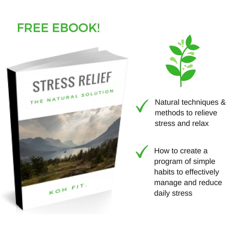 Koh Fit Stress Ball Multipacks - Stress Reliever Squeeze Balls - Bonus 18-Page Hand Exercise Therapy Ebook