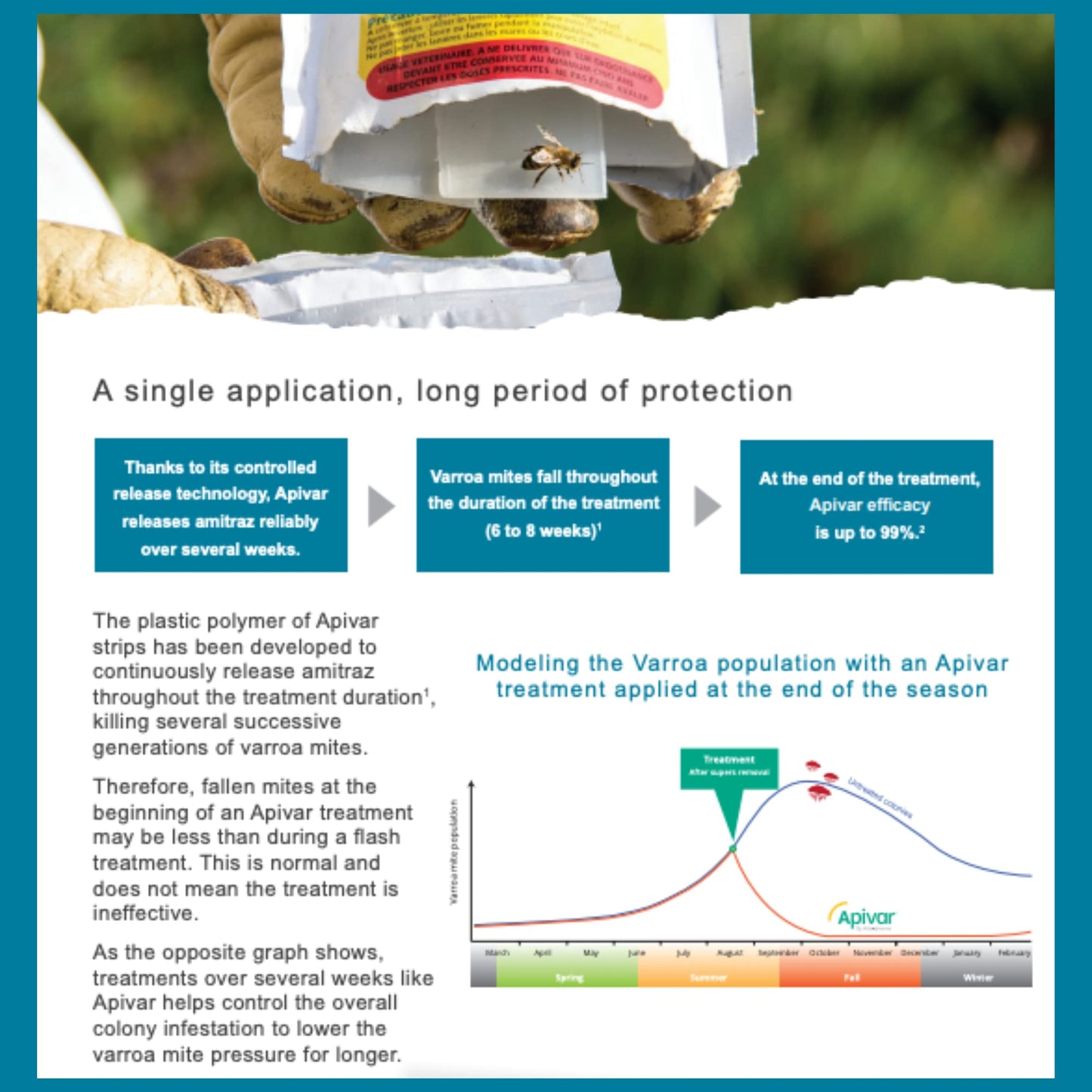 Apivar Strips Varroa Mite Treatment for Honey Bees with Easy-Rip Strips - 97-99% Effective Against Mites (12 Pack)