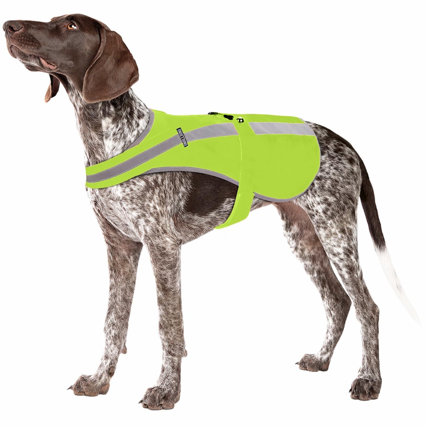 Reflective Dog Vest for Small and Medium Breeds, High Visibility Dog Safety Vest with Removable Bell Keep Safe from Hunting, Training & Cars Accidents(Green,Small)