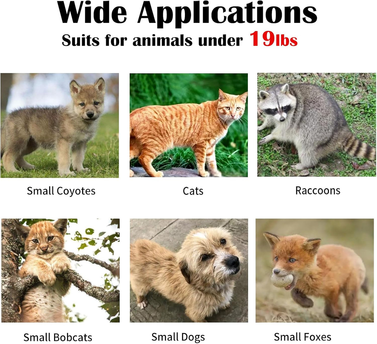 Live Animal Trap for Cats, Raccoons & Rabbits - Steel Foldable with Pedal Triggers | 37.2 x 13 x 14.37 Inches
