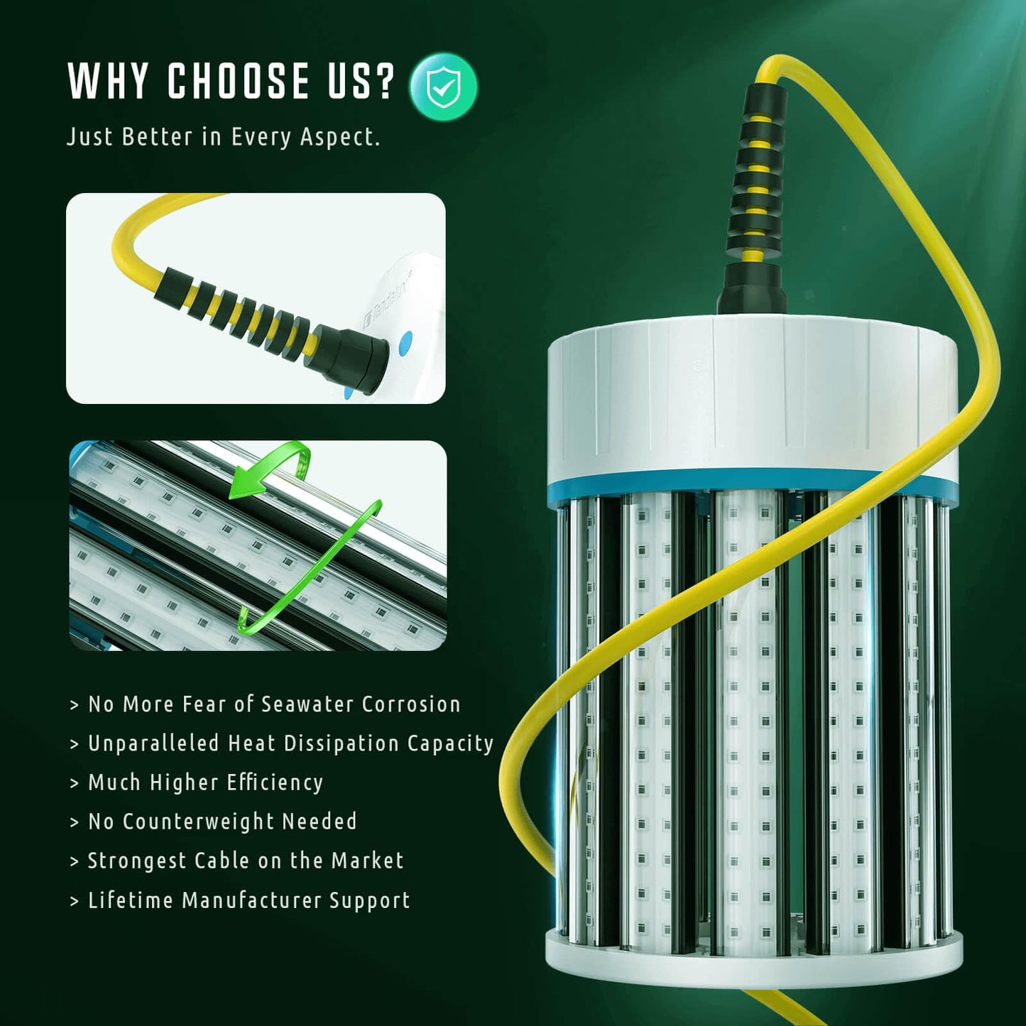 Tendelux Ultra-Bright Underwater Fishing Light with Controller, 110V & 12V Green LED Submersible Light Attractants for Docks, Boats or Kayaks, IP68 Rated for Fresh & Salt Water (30ft Cable)