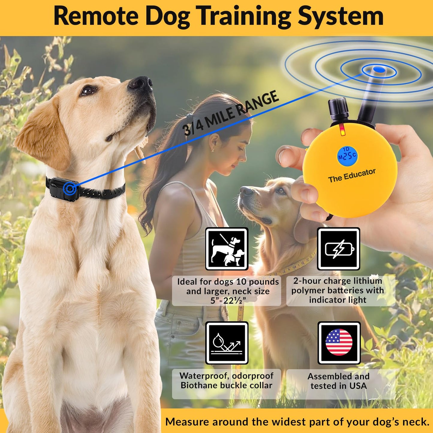 E-Collar Educator ET-400 Dog Training Collar with Remote, Yellow