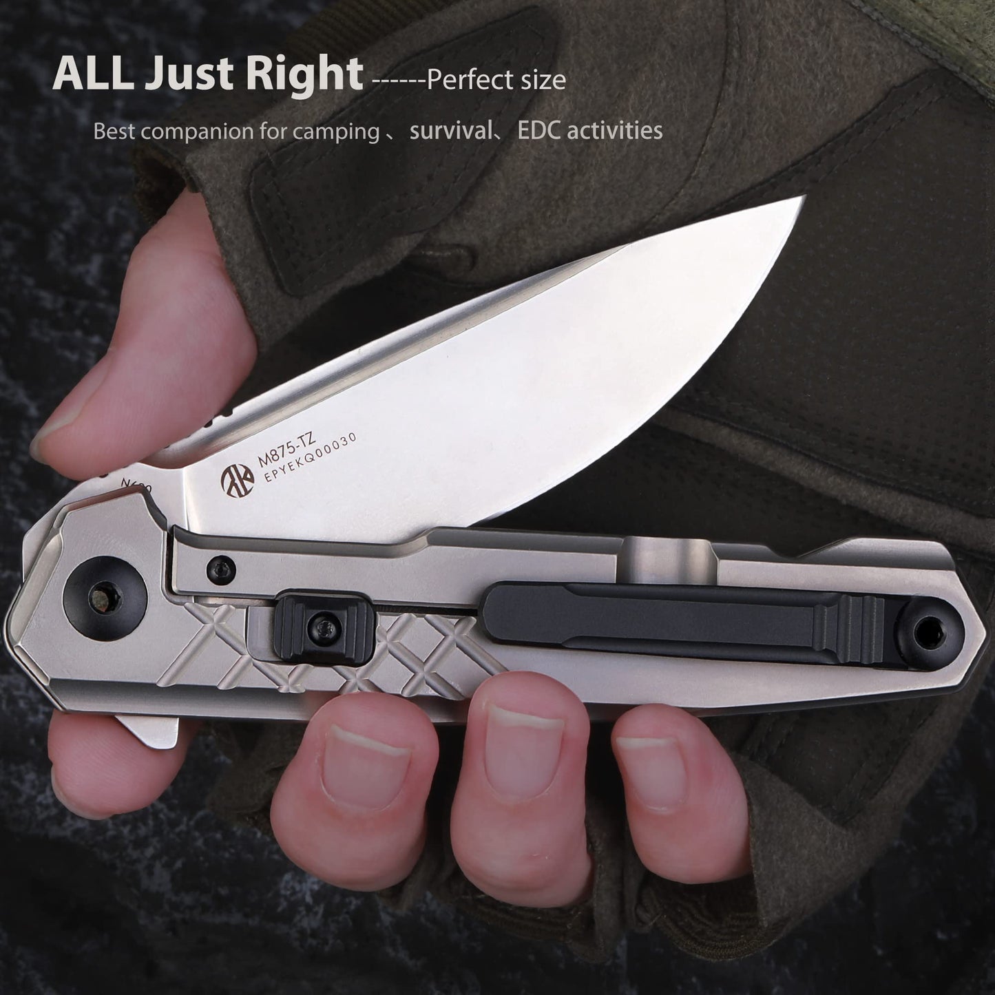 Ruike Tactical Folding Pocket Knife for Men,N690 Stainless Steel Blade,TC4 Titanium Alloy Handle,Frame Lock,Lightweight,Clip Belt Carry,Small Camping Cool Flipper Microtech Elemental Survival Hiking Hunting Outdoor Gadget Gear Tool Father Gifts