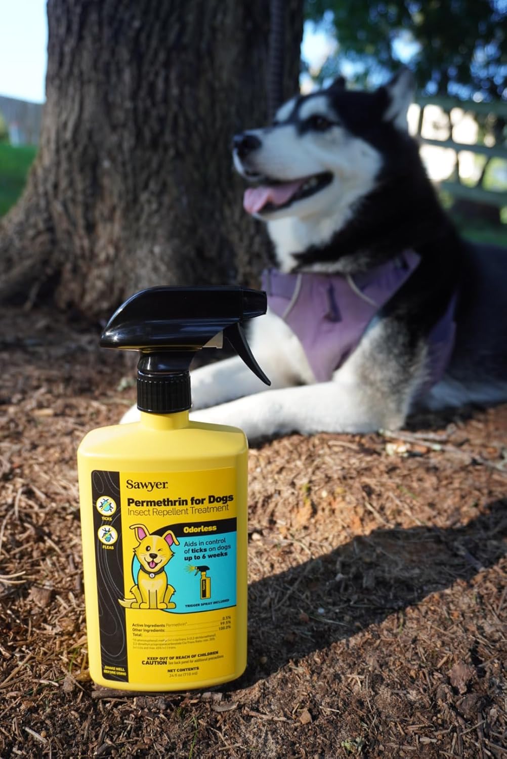 Permethrin Insect Repellent Treatment for Dogs - Sawyer Products SP624