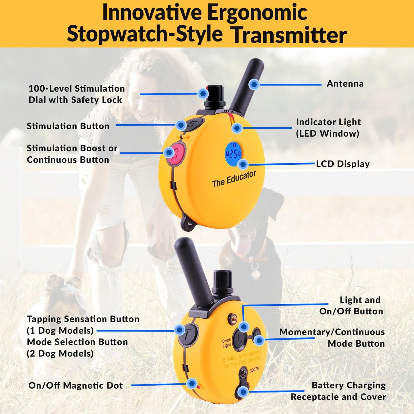 E-Collar Educator ET-400 Dog Training Collar with Remote, Yellow
