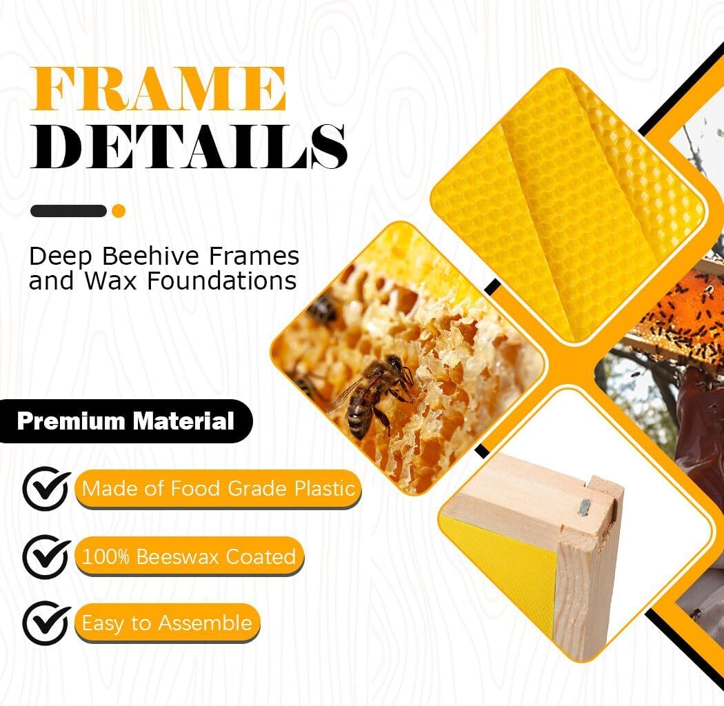 BeeCastle Beehive Frames - 10 Pack Wooden Frames with Beeswax Coated Foundations | 9-1/8 Inch Yellow