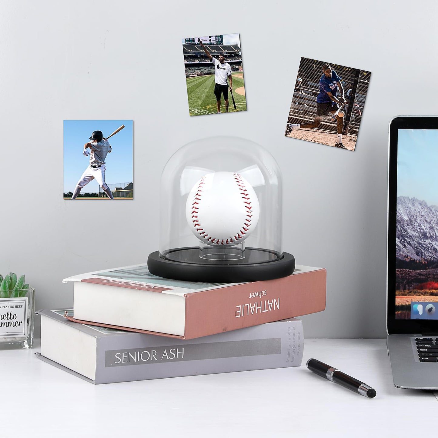 GUSHBIN Softball Display Stand Glass Ball Holder with Acrylic Stand Clear Round Baseball Holder Sport Collection Showcase Box for Tennis Pool Balls Golf Balls