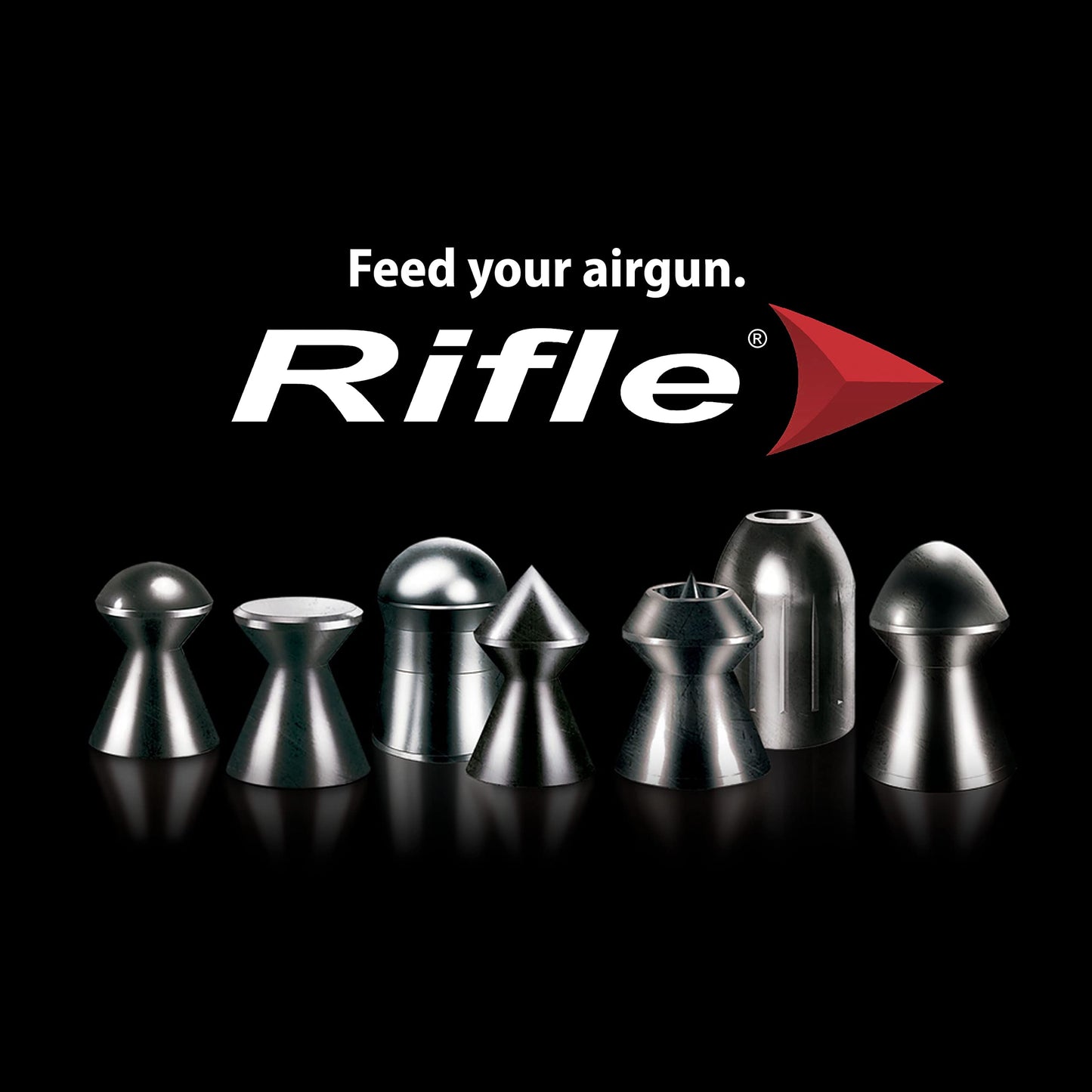 Rifle Light Hollow Point Slug Air Gun Pellets | .22 Caliber | 5.5 mm | 18.21 gr | Slug Designed for Target Shooting and Hunting | 250 Count