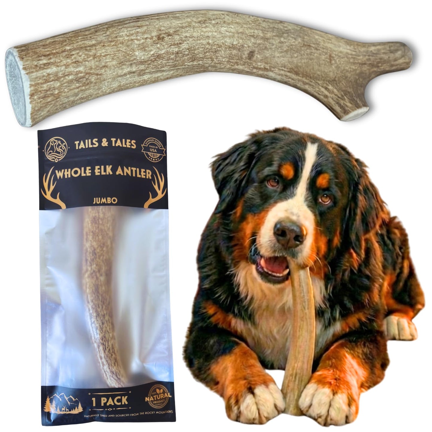 Jumbo Whole Elk Antler for Dogs, 9-11" Dog Bones for Aggressive Chewers