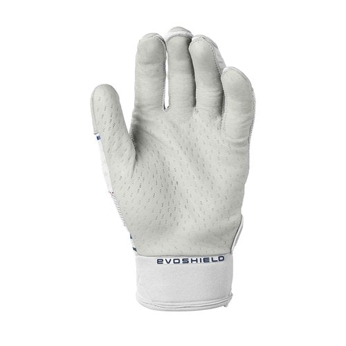 EvoShield Adult Pro-SRZ™ V2 Batting Gloves - USA, Large
