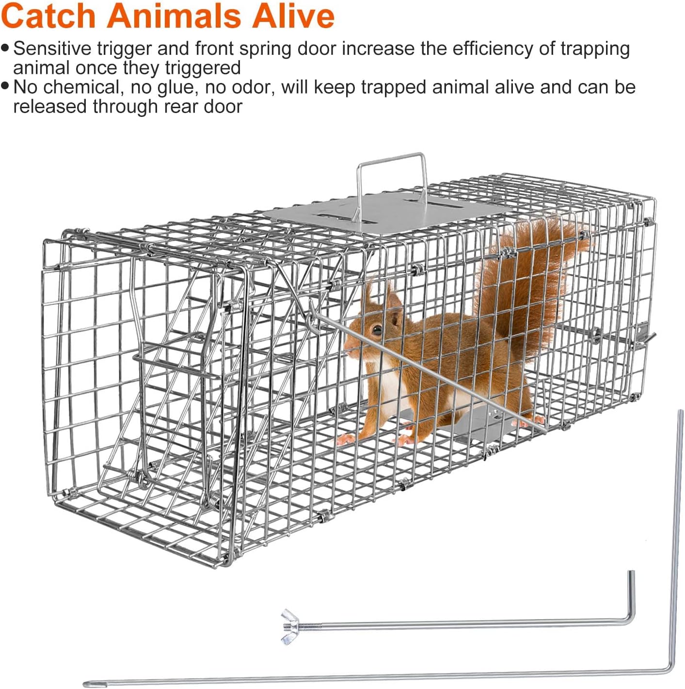 Large Live Animal Trap Cage - Foldable Heavy-Duty Humane Trap for Rats, Foxes, Cats & More | Silver Finish