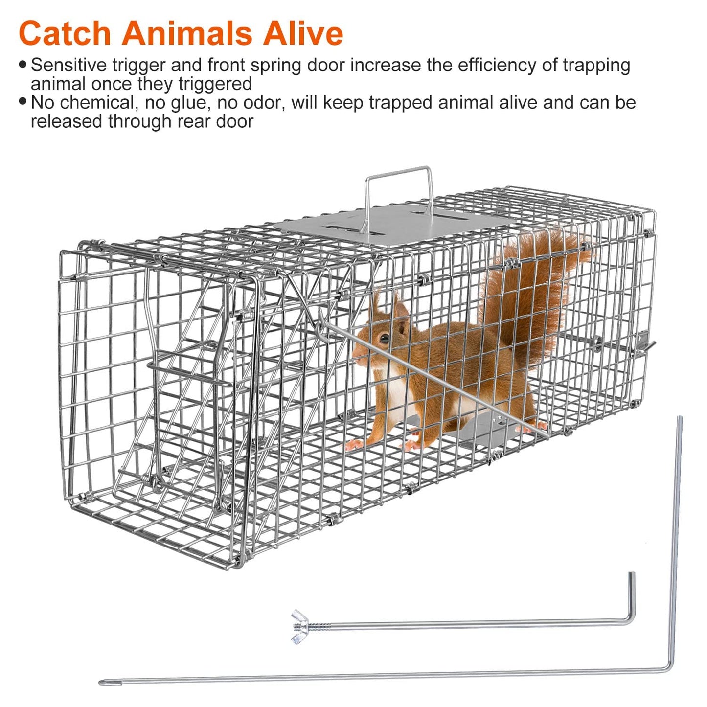 24” Humane Live Animal Trap Cage, Heavy Duty Folding Catch and Release Rodent Trap for Squirrels, Rabbits, Stray Cats, Skunks, Moles, Gophers, Groundhogs – Galvanized Rustproof Steel