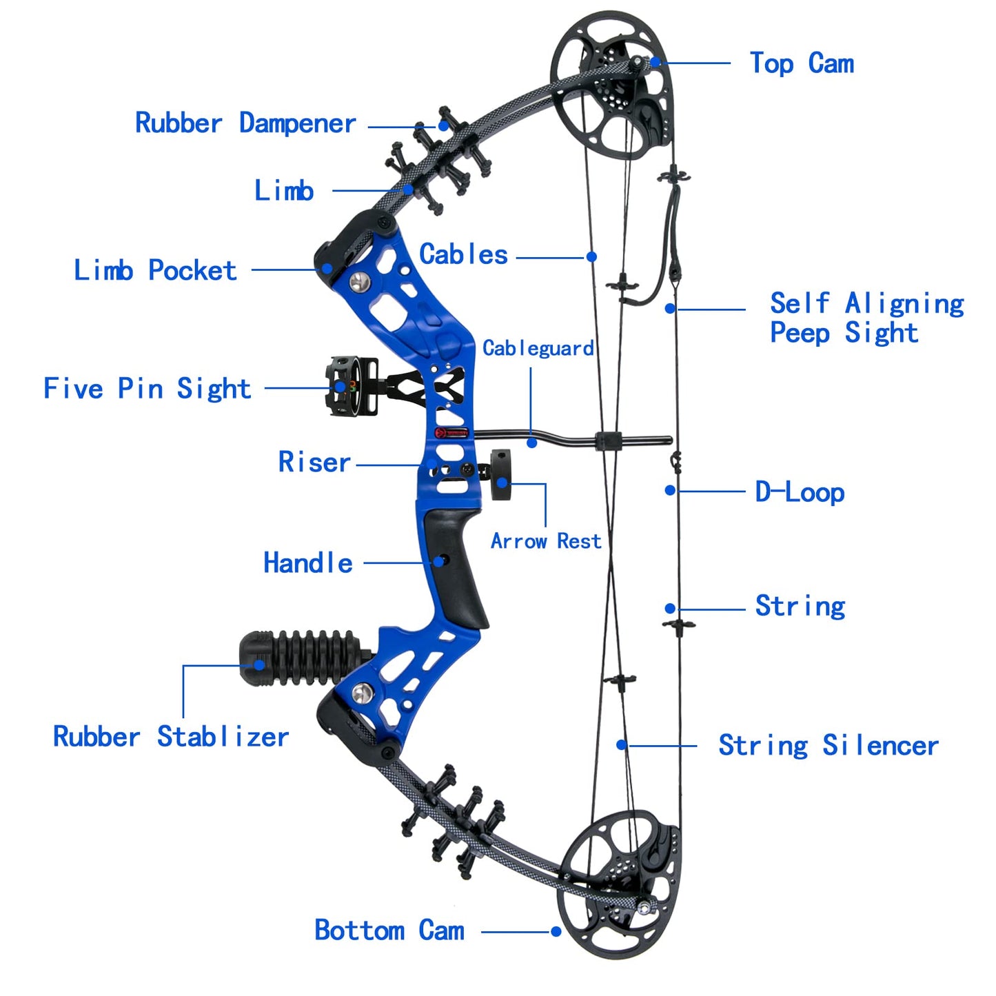 WUXLISTY Youth Compound Bow Set 15-45 Lbs for Teens and Beginner, Package with Archery Hunting Equipment, 5 Pin Sight, Max Speed 320fps, Adjustable, Right Hand, Blue