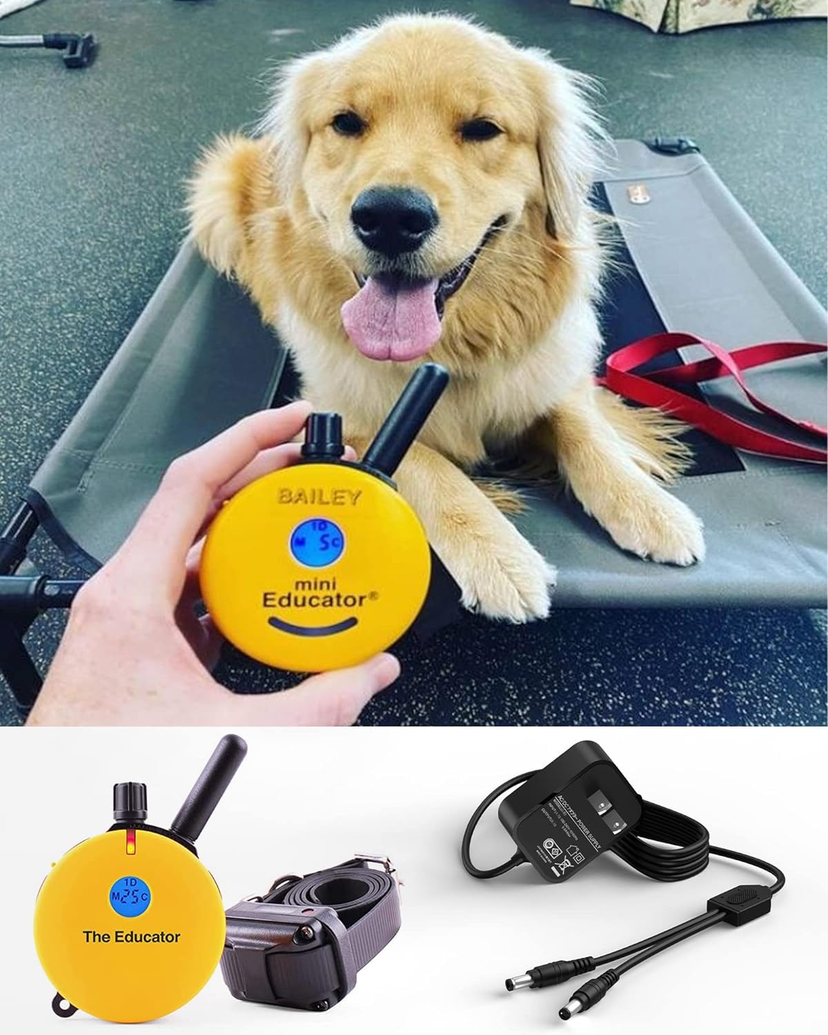 FGIEU Training Collars Charger Compatible with Mini Educator Series 300, 400, RX, FOB and BP-504 Barkless Training Collars.