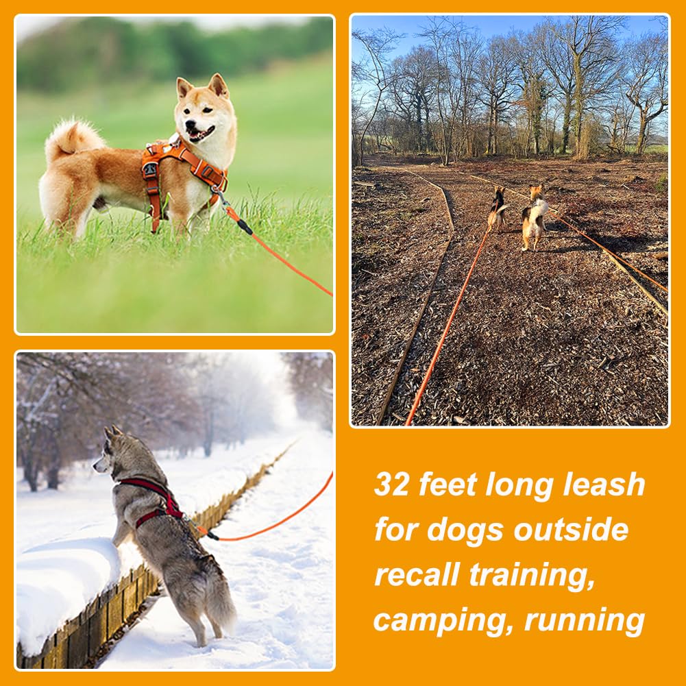 Vivifying Floating Long Dog Leash, 32FT Long Leash for Dog Training, Lightweight Check Cord for Outdoor, Hiking, Swimming, Beach and Lake