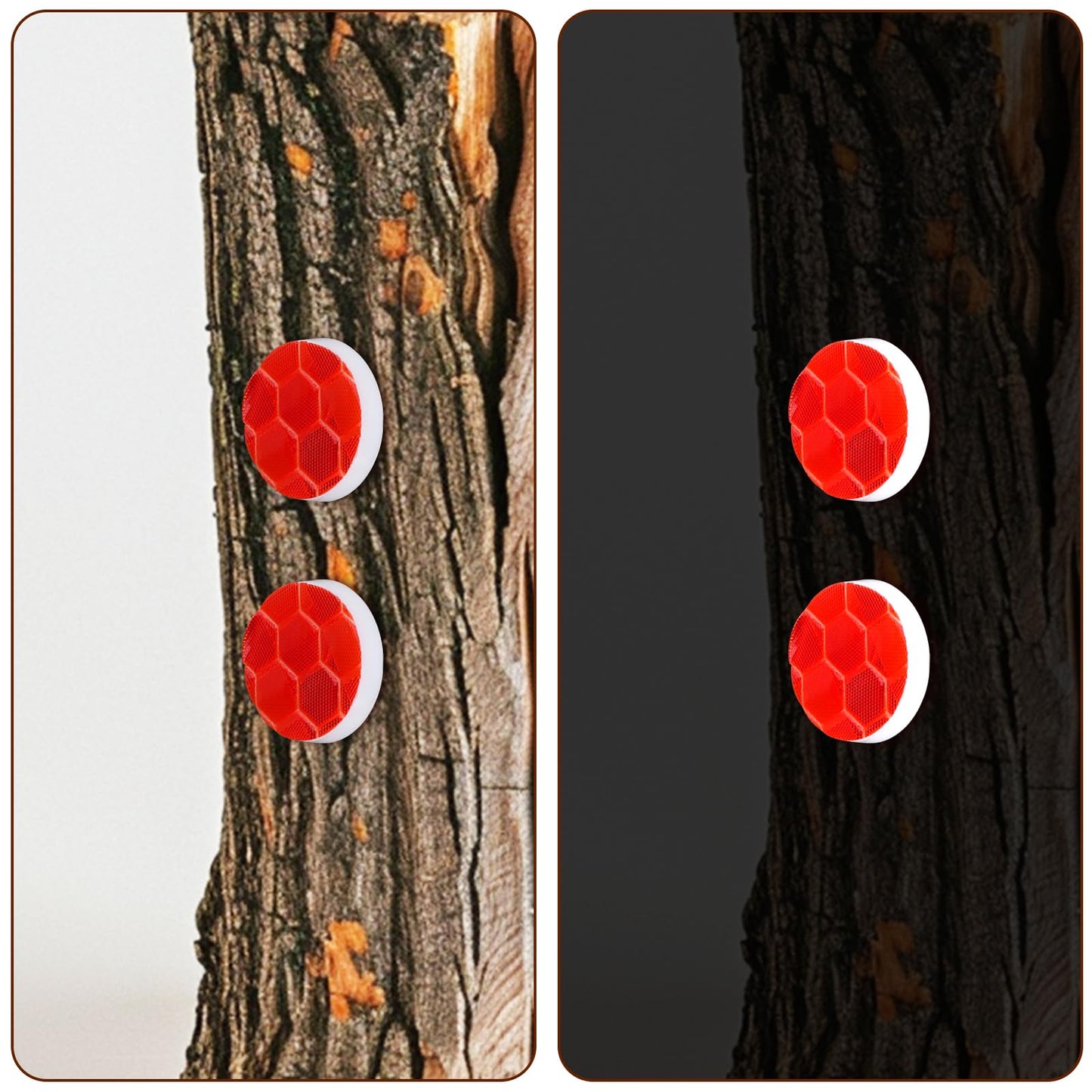 100pcs Reflective Trail Tacks, Hunting Trail Markers Glow in The Dark Pins Box Package Reflective Thumb Tacks for Trail Marking Hunting Camping Hiking Survival Outdoors Tools