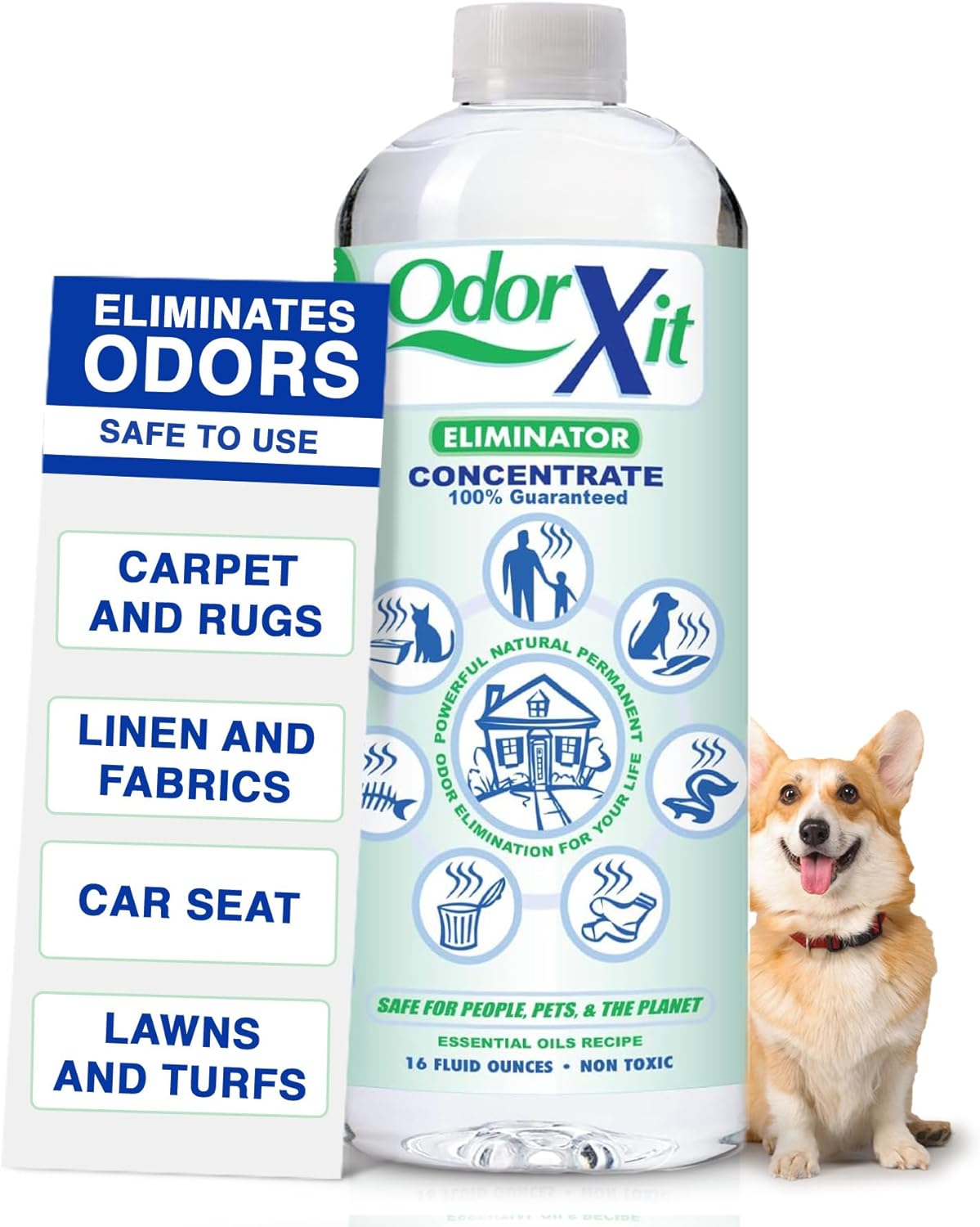 Pet Urine Odor Eliminator - Natural Deodorizer for Cats & Dogs | 16oz Concentrate