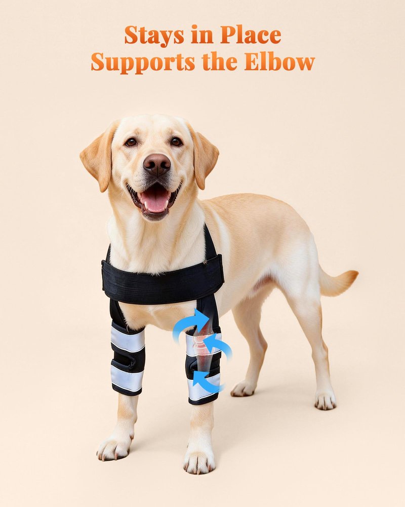 Petanims Dog Front Leg Brace - Knee/Carpal/Wrist Support for Dogs, Adjustable Dog Elbow Brace with Shoulder Support, Reflective Dog Elbow Protector for Pain Relief & Better Recovery, Small