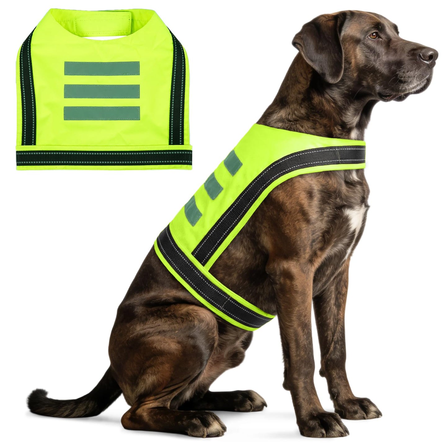 DENTRUN Dog Reflective Vest, High Visibility Safety Vest for Small Medium Large Dogs, Easy-On Adjustable Reflective Jacket for Outdoor Hunting Night Walking Jogging, Bright Green