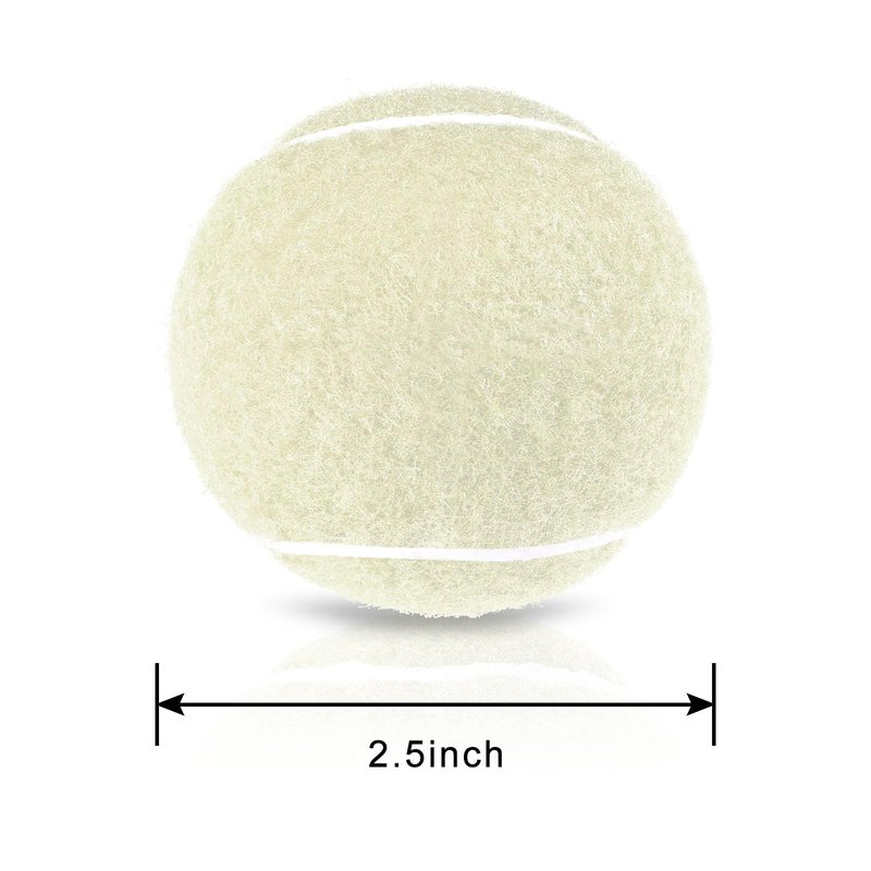 LvxNysa 6pcs Tennis Balls Training Tennis Ball with mesh Bags Beginner high Elasticity Practice Tennis Loose Tennis Balls for Dogs (Beige)