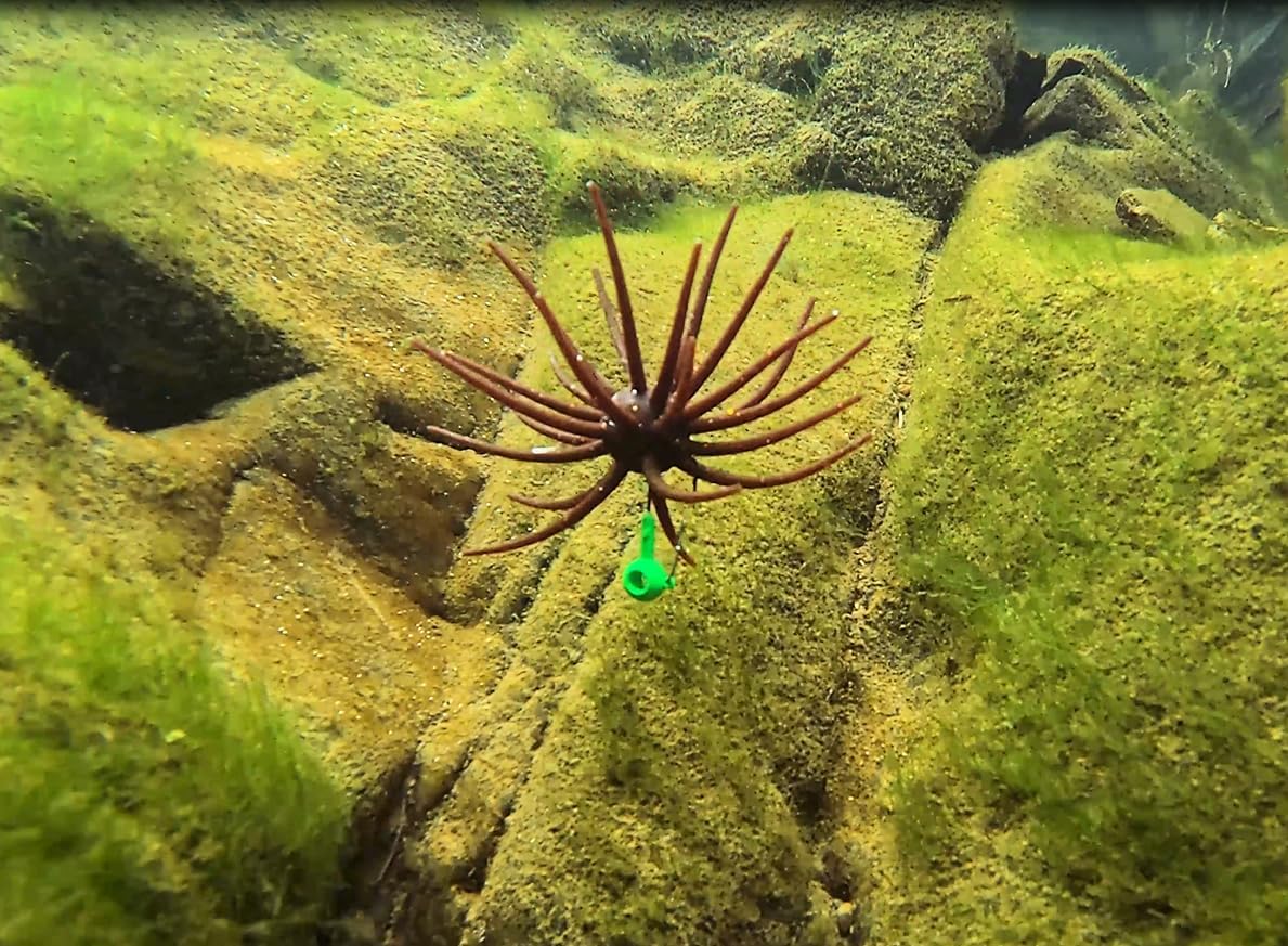 QualyQualy Sea Urchin Soft Lure - Durable Tentacle Fishing Bait for Bass, Pike & Trout | TPE Material