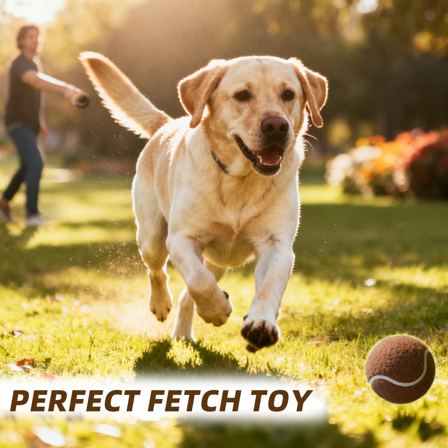 PoyPet 16-Pack Tennis Balls Bulk for Practice,Training and Beginners | Ideal for Dog Fetch,Chew and Play (Brown)