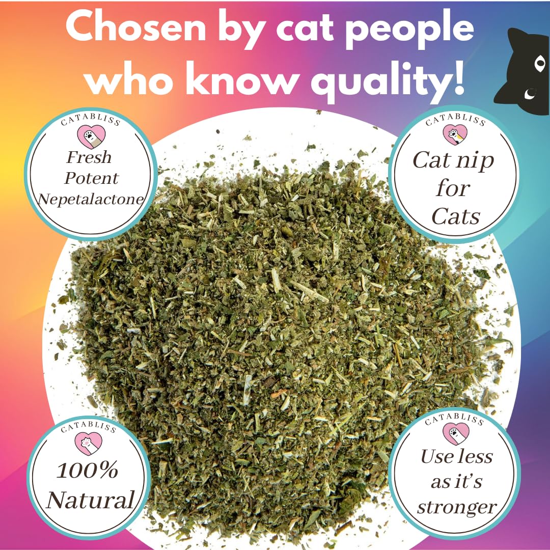 catabliss Catnip for Cats – 1oz Jar - 100% Essential Natural Cat Nip Herb Resealable Jar - Fresh Aroma Stimulates Activity & Enhancing Play for Indoor Cats - Great for Cat Nip Toys, Play & Training