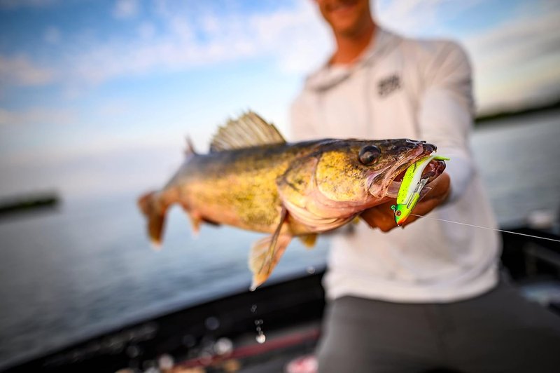 Berkley Gulp! Minnow Fishing Soft Bait - Realistic Lifelike Design | 4-Inch Size