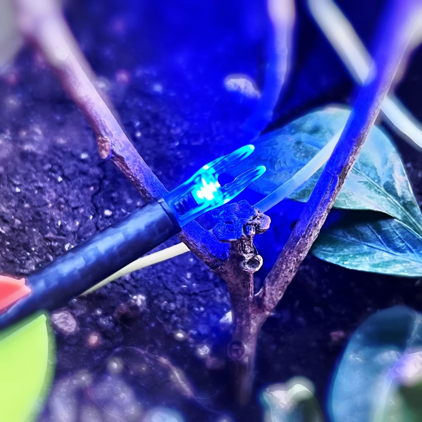 XHYCKJ 12PCS G Lighted Nocks for Arrows with .165 .204 .233 .244 .246 Inside Diameter Bolts with X, H, S, GT Bushings (12, Blue)