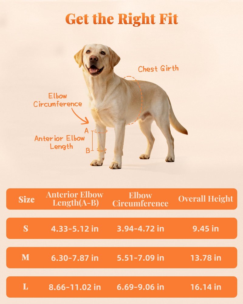 Petanims Dog Front Leg Brace - Knee/Carpal/Wrist Support for Dogs, Adjustable Dog Elbow Brace with Shoulder Support, Reflective Dog Elbow Protector for Pain Relief & Better Recovery, Small